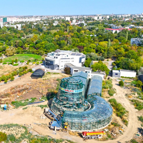 Consiliul Județean Galați organizează licitație pentru arbori tropicali și plante exotice