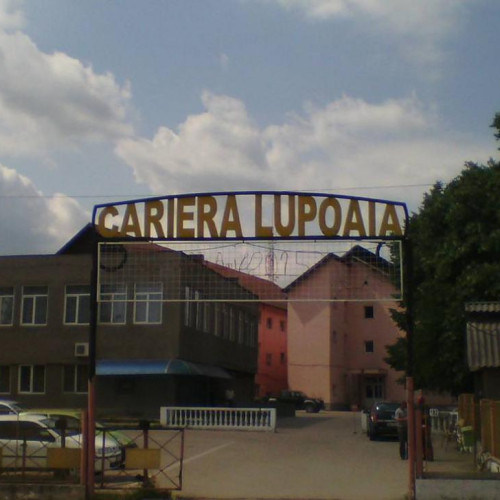 Primarul comunei Cătunele speră ca stratul de cărbune de la Lupoaia să nu ajungă la firme private