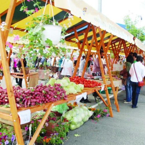 Proiectul centrului de colectare legume și fructe din Buzău, blocat după șase ani