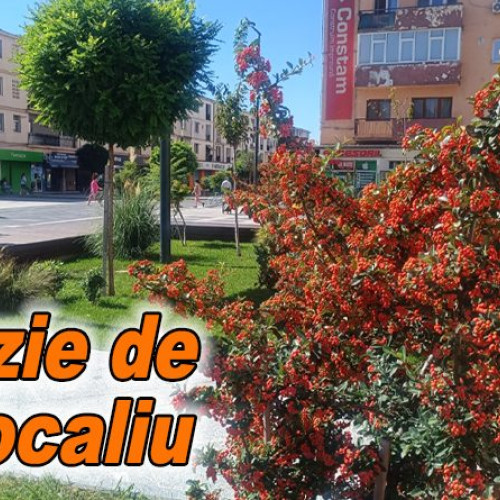 Spațiul verde din fața primăriei Buzău, colorat în portocaliu datorită cătinei