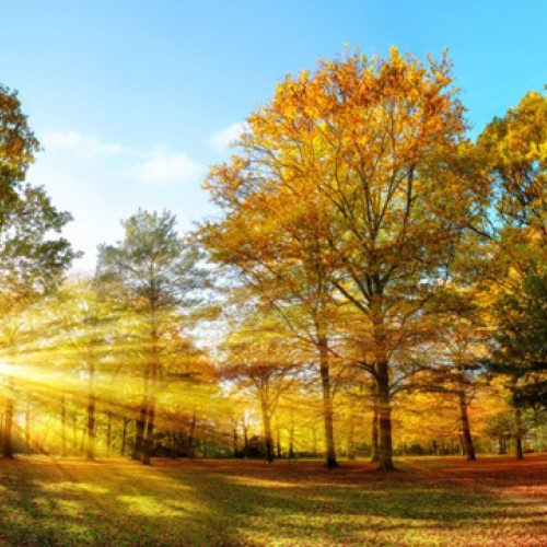 Vremea se încălzește după cea mai rece zi a săptămânii