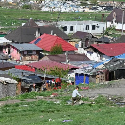 Cluj: Curățenie și plantare de copaci la Pata Rât de Ziua Națională a Curățeniei