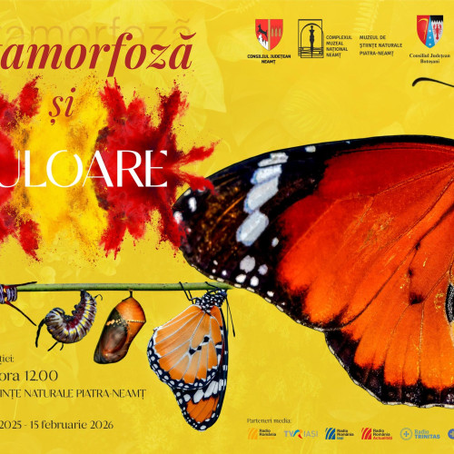 Expoziția „Metamorfoză și culoare” aduce fluturi exotici la Piatra-Neamț