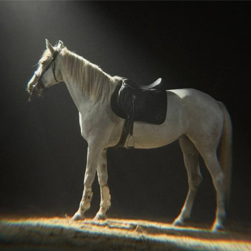 Adi Istrate lansează piesa „Trecător”, un nou suflu country în muzica românească