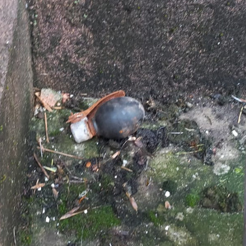 Grenadă ofensivă de exercițiu descoperită în Râmnicu Vâlcea