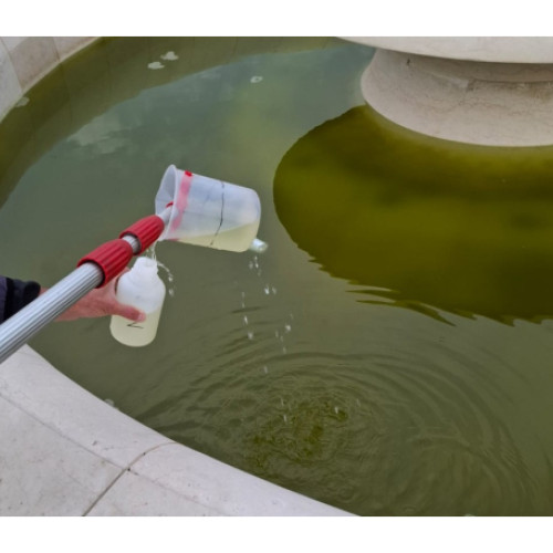 Verdeția apei din fântâna din Piața Unirii a început o anchetă la Oradea