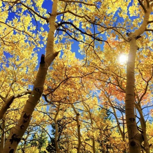 Ploi reduse și temperaturi ridicate în septembrie, conform prognozei ANM