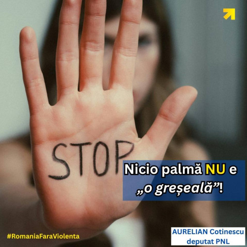 Aurelian Cotinescu atrage atenția asupra violenței domestice și susține legi noi de protecție