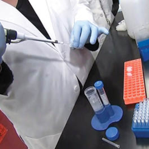 Tratament experimental cu anticorpi oferă protecție extinsă împotriva virusului gripal