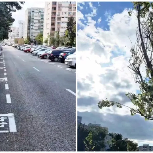 Cluj-Napoca: creștere semnificativă a locurilor de parcare pe strada Bucegi