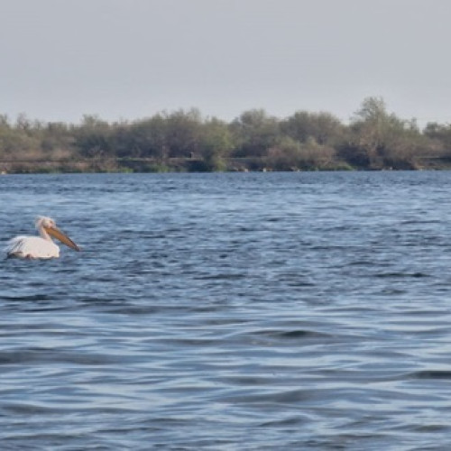 Reorganizarea Gărzii Naționale de Mediu include desființarea Comisariatului Rezervației Biosferei Delta Dunării