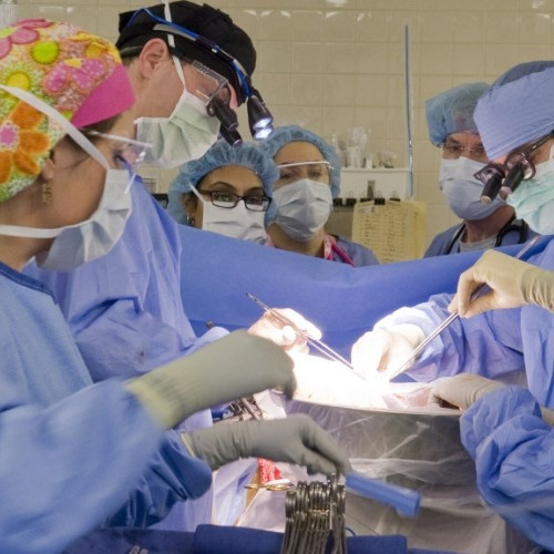 Doi donatori în moarte cerebrală oferă organe pentru transplant la Iași