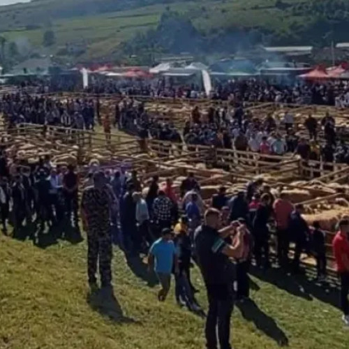 Expoziția de animale de la Frata, reprogramată din cauza pestei porcine africane