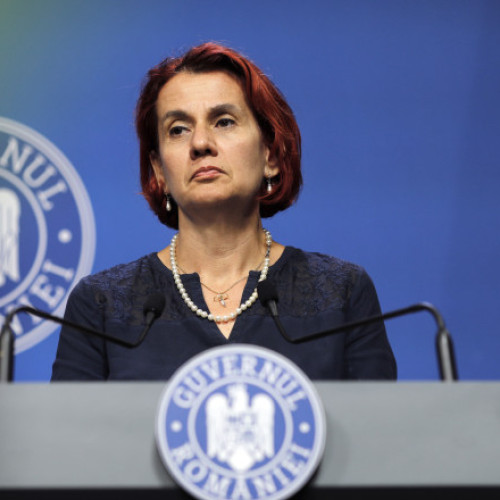 Ioana Dogioiu afirmă că a vorbit în baza mandatului premierului despre plafonarea adaosului comercial