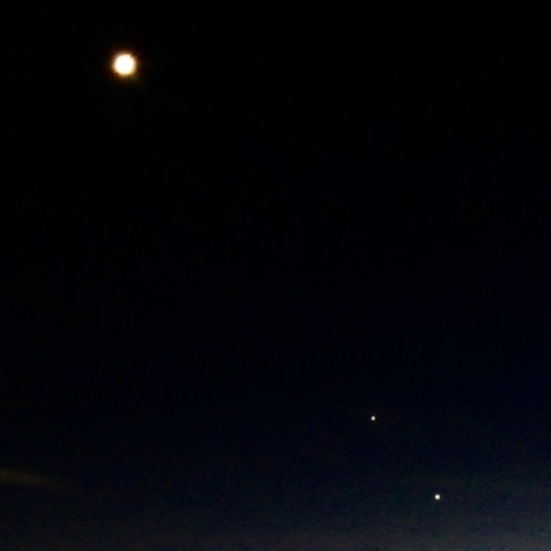 Aliniere spectaculoasă pe cerul estic cu Luna, Venus și steaua Regulus