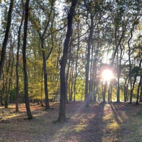 Temperaturi în creștere în weekend în județul Alba, cu maxime de până la 28 de grade