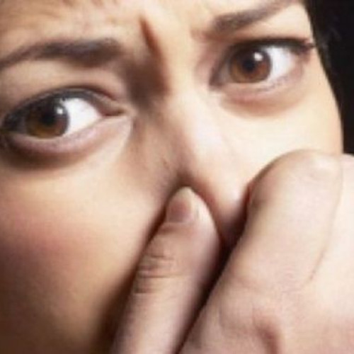 AAC avertizează asupra impactului noilor norme privind mirosurile asupra agriculturii românești