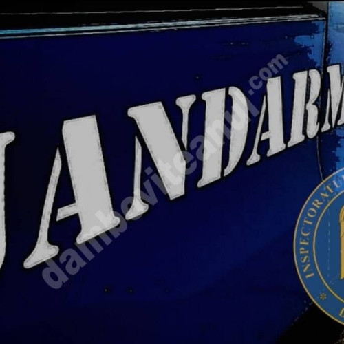 Tânăr reținut în Târgoviște pentru port ilegal de cuțit într-un centru comercial