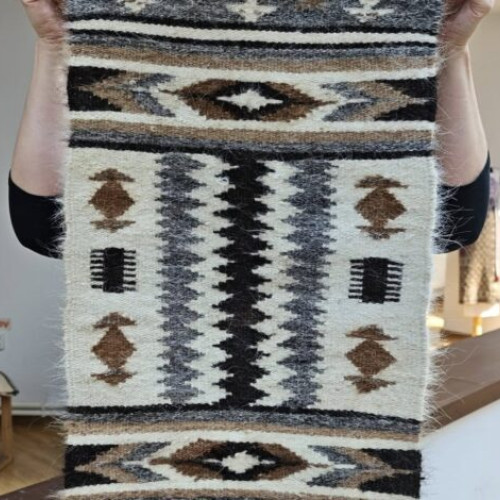 Ținutul Buzăului, prezent la Conferința Geoparcurilor Internaționale UNESCO din Chile