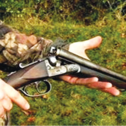 Camera Deputaților majorează semnificativ amenzile pentru hrănirea urșilor