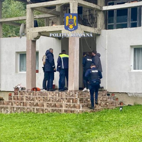 Cercetări pentru tăieri ilegale de arbori și falsificarea documentelor în Moinești