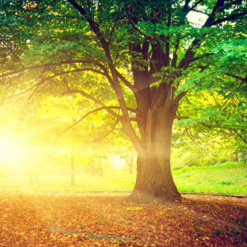 Estimări meteo: septembrie mai cald, iar octombrie cu temperaturi normale în România