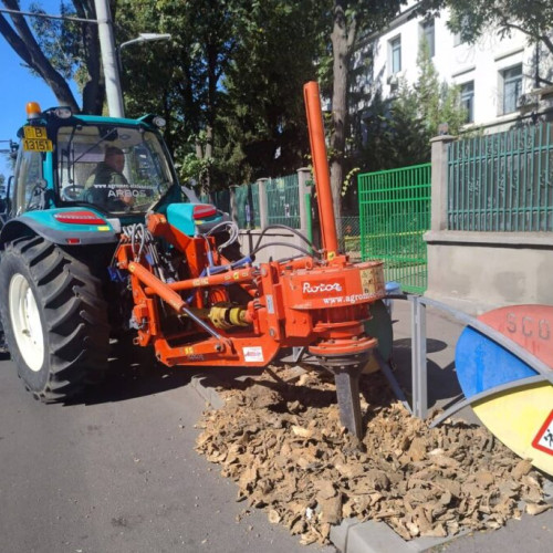 Sector 2 a derulat ample lucrări de întreținere a spațiilor verzi și mobilitate urbană