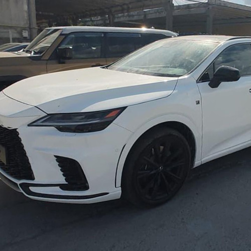 Două mașini furate din Spania descoperite la frontiera pentru export în Turcia