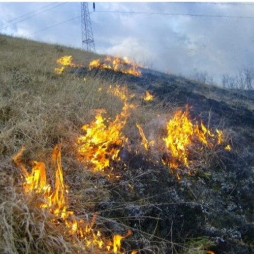 Incendiu de vegetație uscată în comuna Bălești, satul Cornești