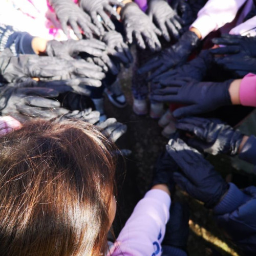 România sărbătorește ziua de curățenie națională cu peste 9.000 de voluntari din Vrancea