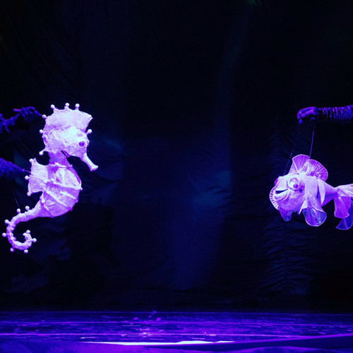 Spectacole diverse la Tulcea: legenda Mării Negre și avioane de hârtie