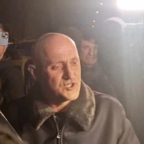 Raluca Turcan critică pasivitatea instituțiilor în cazul arsenalului lui Horațiu Potra