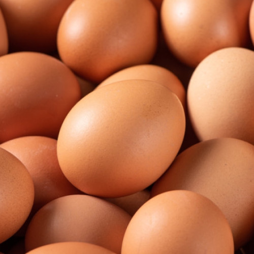 Retragere de ouă bio de la Kaufland și Mega Image din cauza riscului de Salmonella