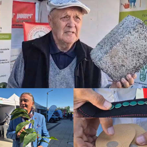 Materiale și tehnologii românești pentru construcții și sănătate, expuse la Alba Green Energy