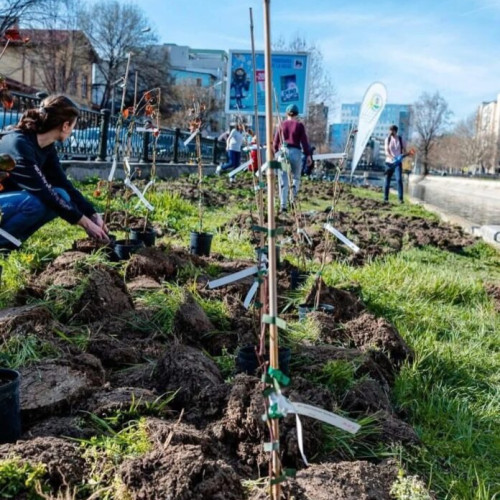 ALPAB organizează o dimineață de plantare și workshopuri în Parcul Ateneului