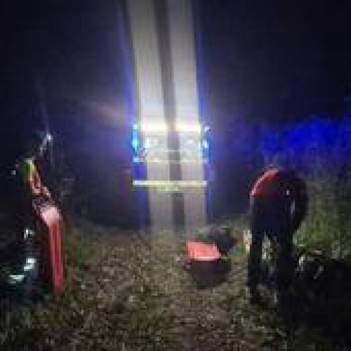 Bărbat de 39 de ani, decedat după ce un copac i-a căzut peste el în Baia Mare