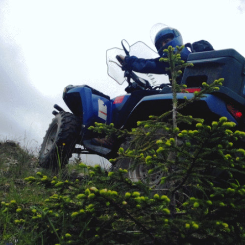 Jandarmii montani au salvat doi turiști blocați în Munții Bucegi noaptea trecută