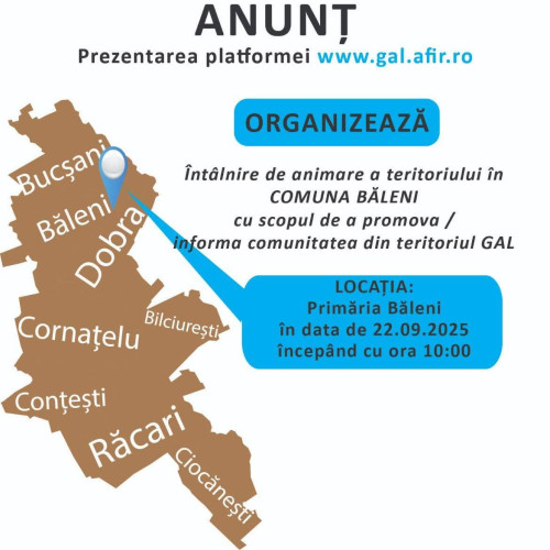 Întâlnire de promovare a finanțărilor europene pentru dezvoltare locală în comuna Băleni