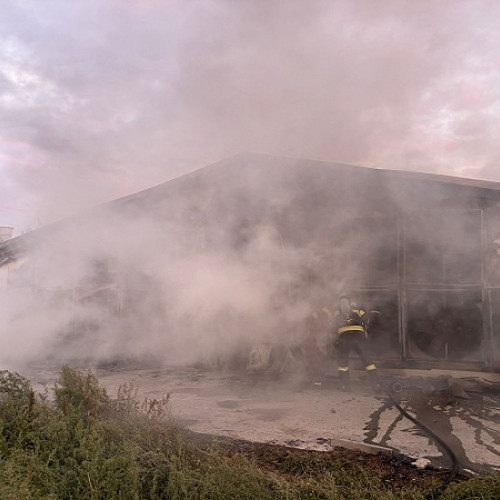 Incendiu la o hală de creștere a puilor în Medieșu Aurit fără victime