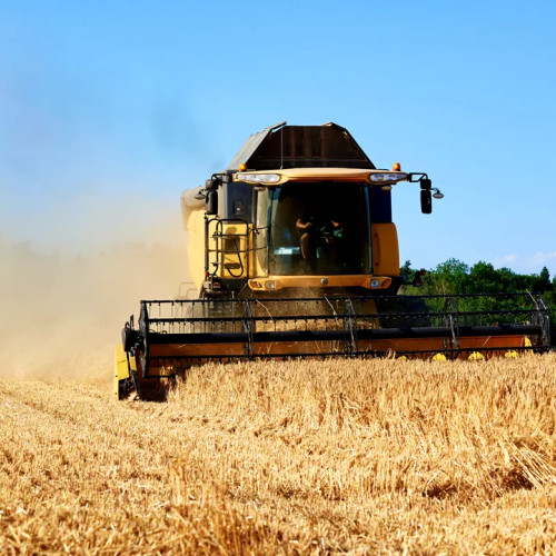 România a înregistrat recolte record la cereale și rapiță anul acesta