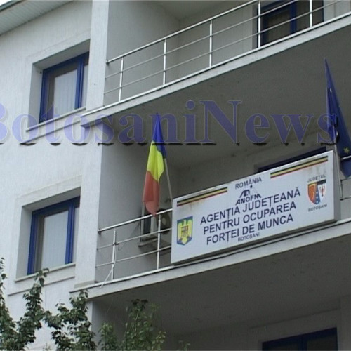 Cursuri gratuite de calificare pentru șomerii din Botoșani în octombrie