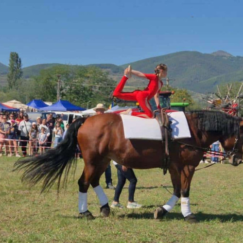Copiii demonstrează gimnastică pe cal la târgul Apulum Agraria de la Ighiu