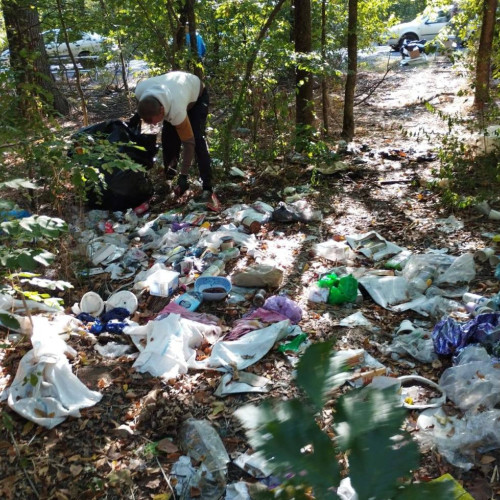 Direcția Silvică Dâmbovița sprijină curățenia pădurilor printr-o mobilizare masivă