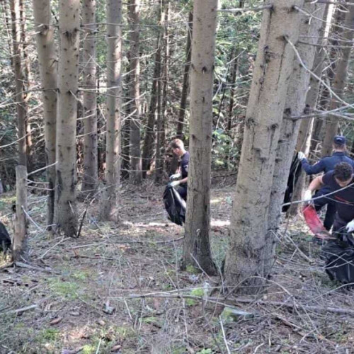 Pompierii din Alba au participat la campania națională de ecologizare