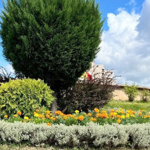 Deva se pregătește pentru toamnă cu spații verzi bine întreținute