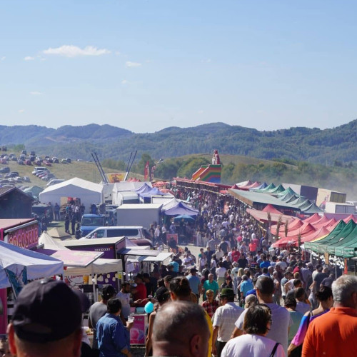 Răvășitul Oilor aduce mii de oameni pe dealurile Runcului