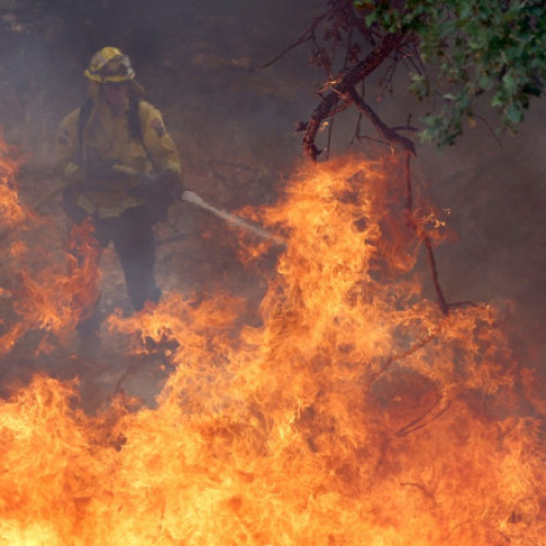 Incendiile din California amenință exemplarele milenare de sequoia gigant