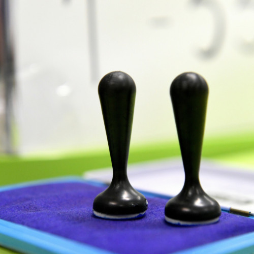 Moldovenii din România vor putea vota la alegerile parlamentare în 14 orașe