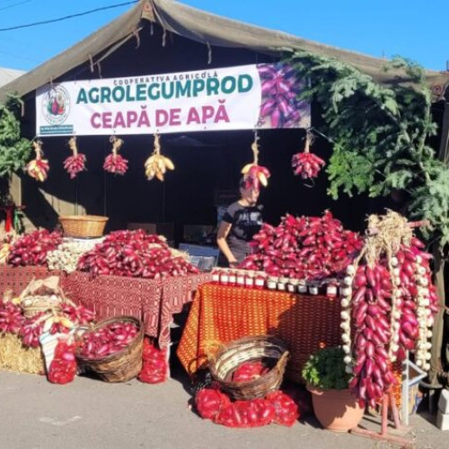 La Drăgaica a avut loc târgul Toamna Buzoiană cu produse locale și tradiții