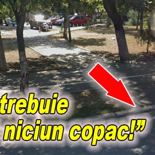 Un locatar din Crâng solicită o alee nouă către Bulevardul N. Bălcescu